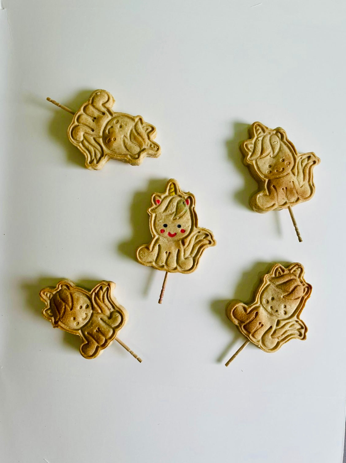 Snout Snacks