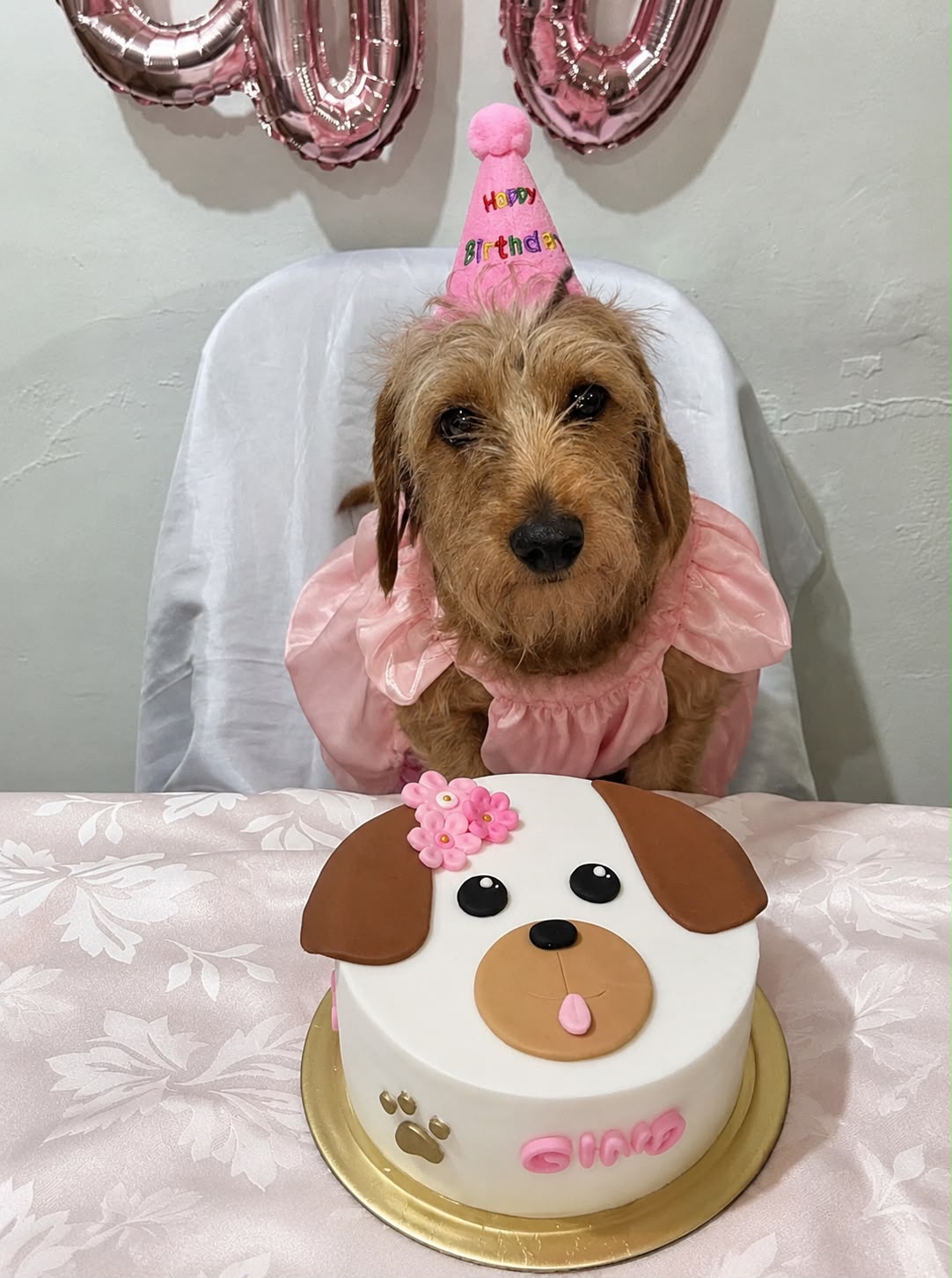 Canine Crown Cake