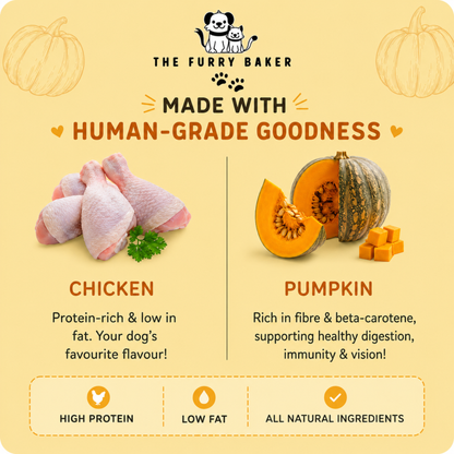 Chicken Jerky with Pumpkin Dog Treats