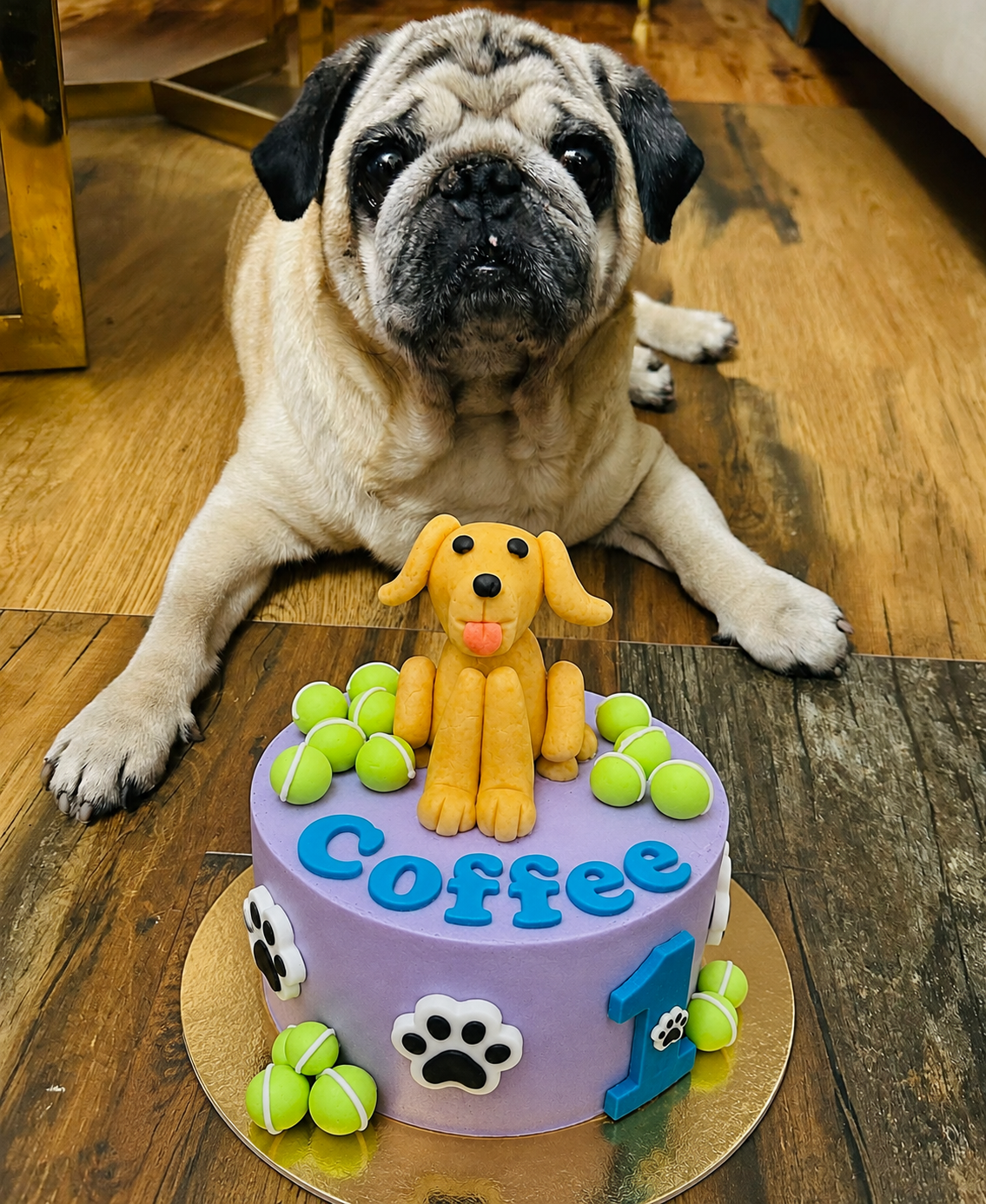 Birthday Bash Cake