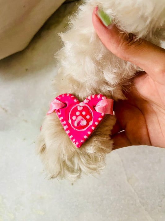 Paw Rakhi Hamper