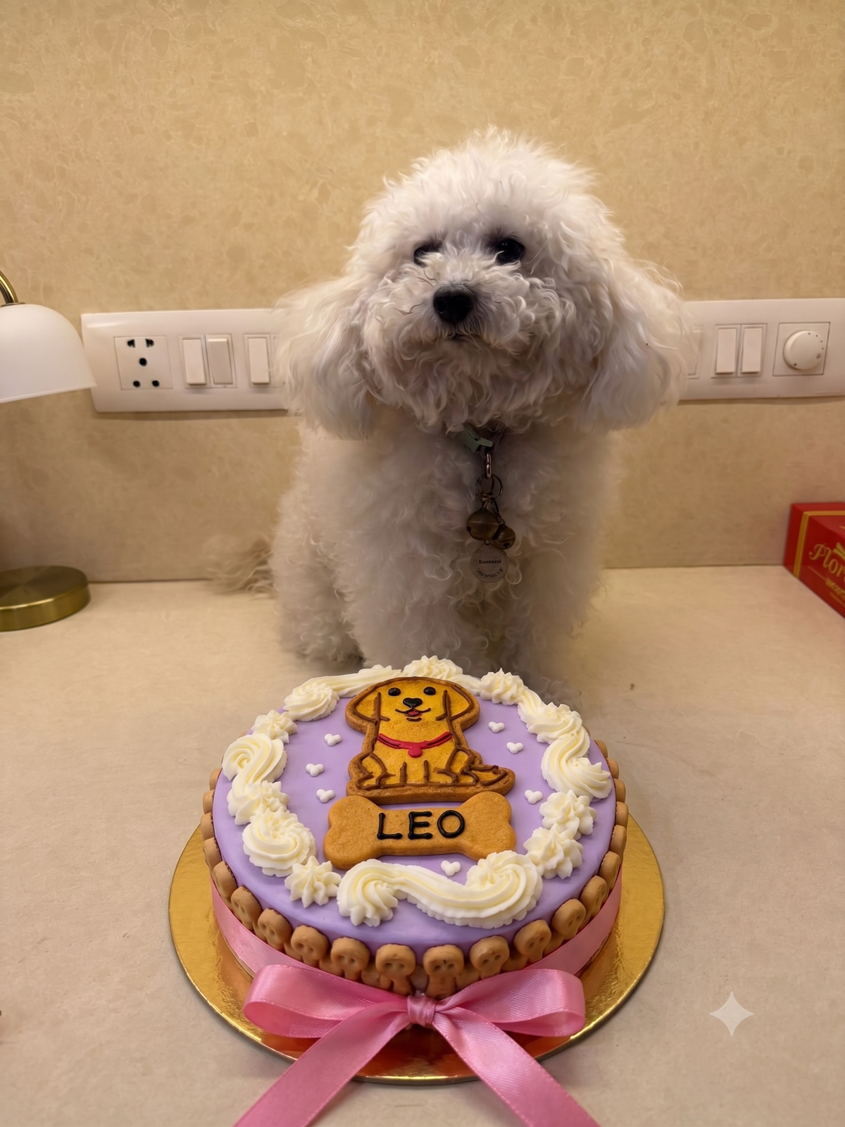 Paws & Play Cake
