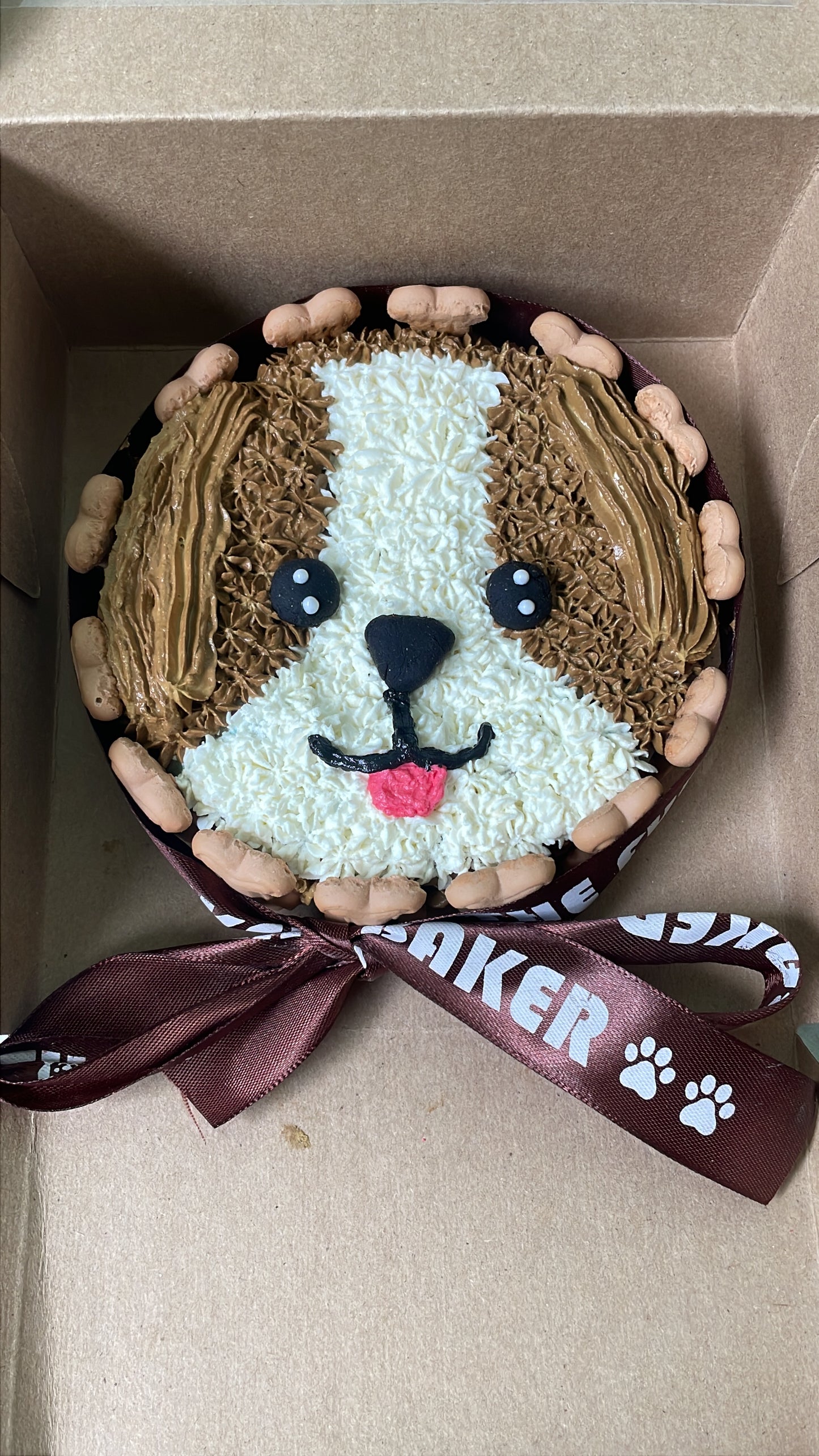 Cute  Dog Face