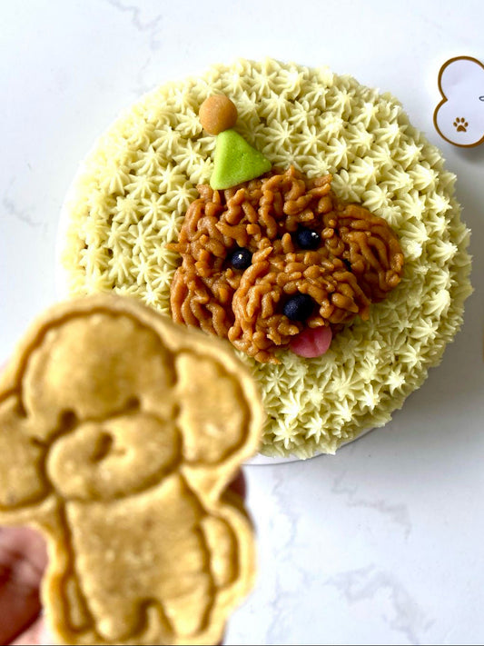 WhiskerJoy Cake