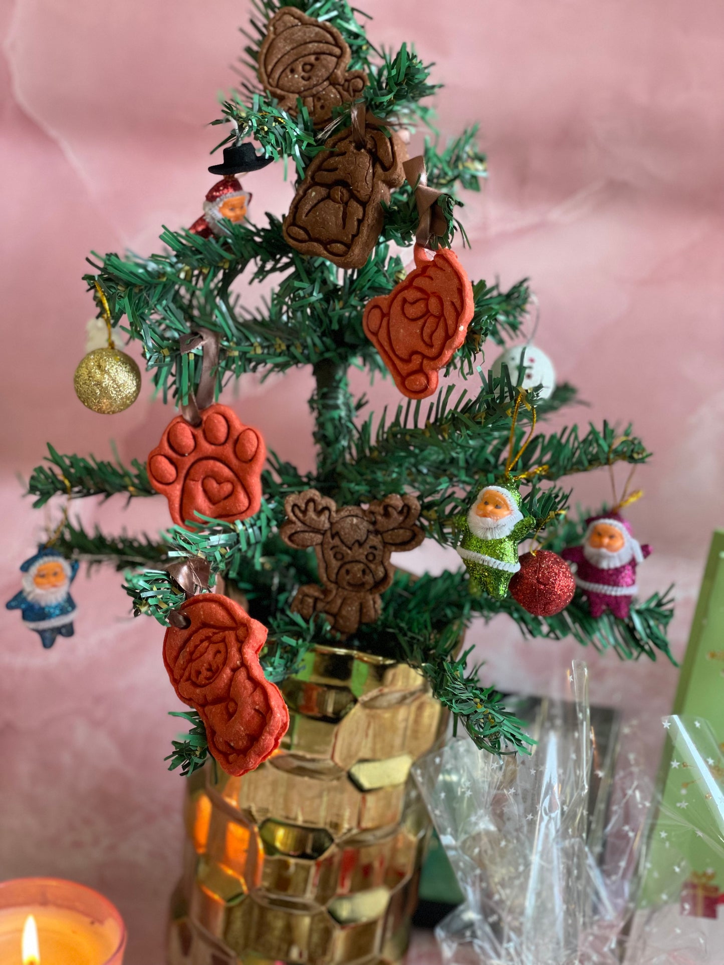 Paws & Claus Christmas Hamper