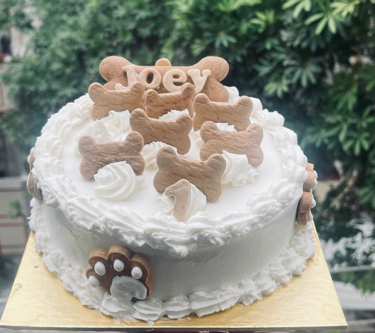 Paws and bones cake