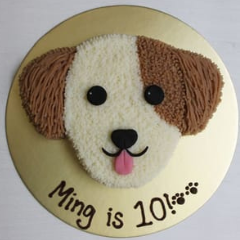 Doggie Face Cake