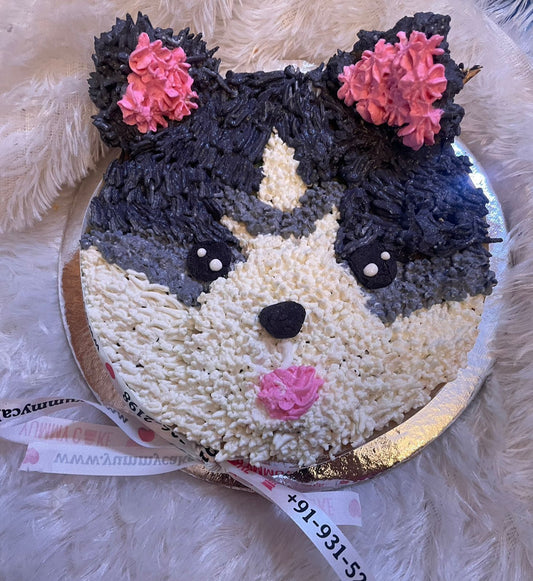 Husky Face Cakes