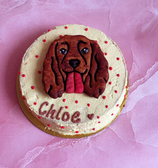 Cocker spaniel  Cake