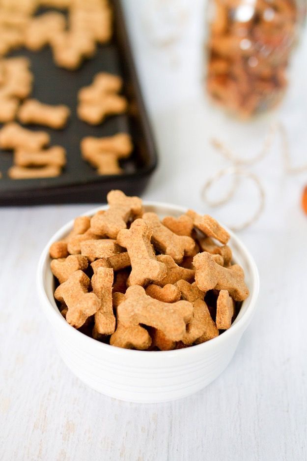 Puppy Treats