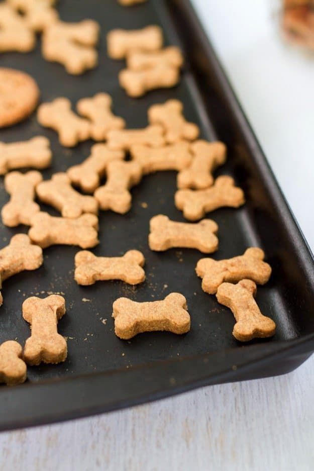 Puppy Treats