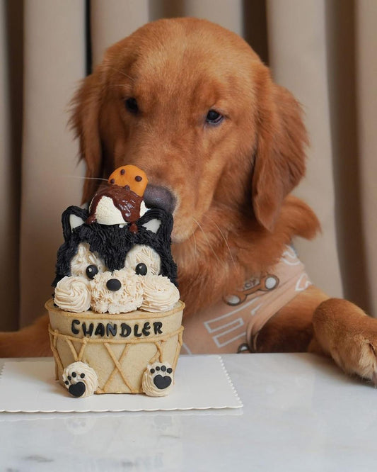 3D husky Cake