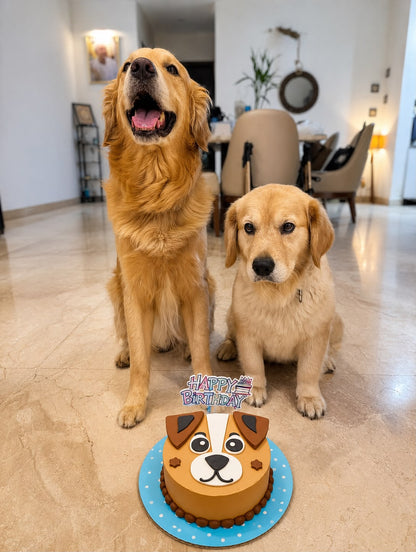 Pupcake Supreme